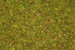 Gras Blumenwiese 2,5 mm (120g)
