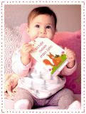 Glcksmomente - Babys erstes Jahr (33 Fotokarten)