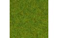 Gras Frhlingswiese 2,5mm (120g)